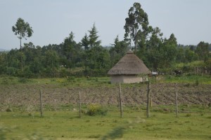 Many huts on the way to our town but not many in our town.